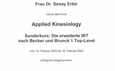 Diplom Kinesiologie Senay Ertür